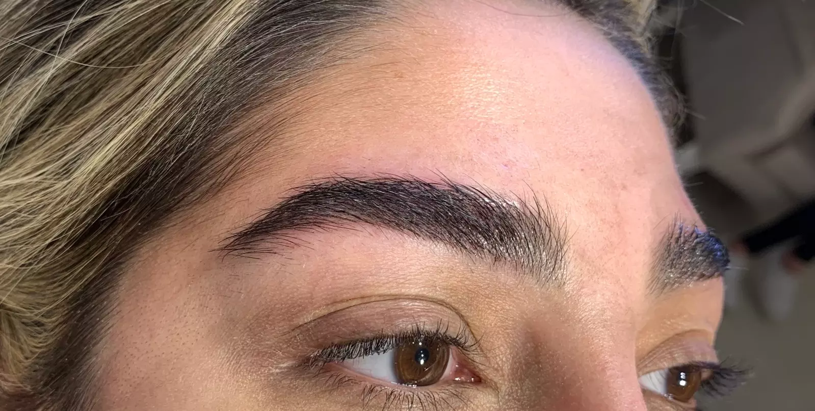 Perfect Your Brows with a Microblading / Touch-Up Session