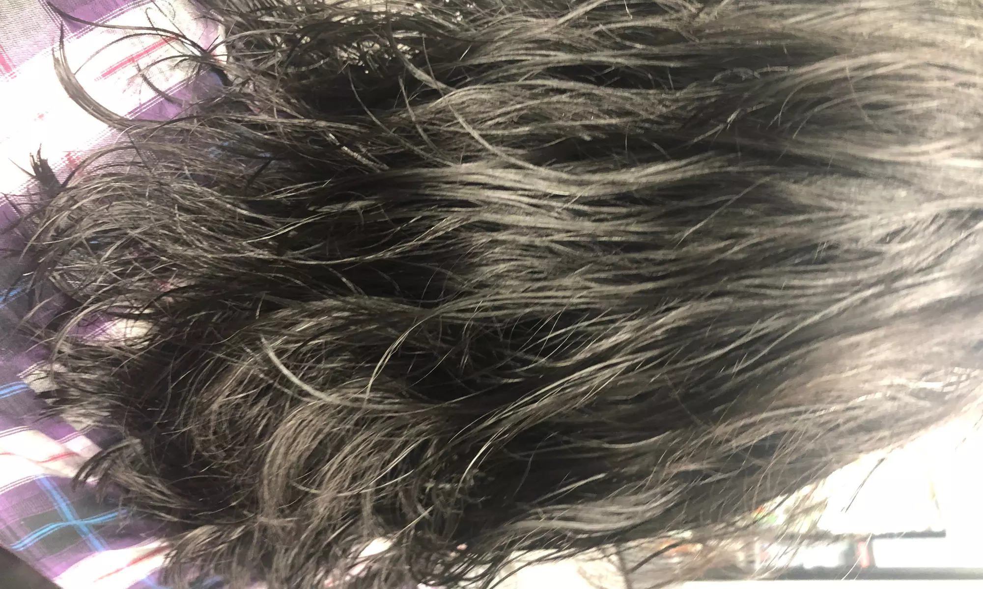 Pamper Yourself: Hair Cut with Optional Blow Dry and 1 Hair Treatment