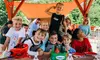 Exciting Paintball All-day Pass Plus Equipment for One, Two, or Four at Paintball Central (Up to 50% Off)