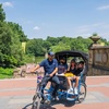 Image 4: Guided Central Park Tour in an Eco-Friendly Pedicab w/ Photo Stops