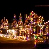 Image 6: X-Mas Lights Festival at HollyDazzle in Holly for Adults or Child