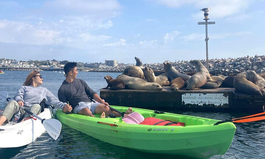 Image 1: 3 Hour Guided Kayak and Snorkel Tour for One, Two, Four, Six or Eight