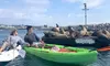 Kayak and Snorkel with Sea Lions in Calm, Beautiful Harbor (Snorkeling Optional) with Naked and Afraid's Gary Golding 