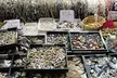 Dive into a Unique Maker's Marketplace at Escondido Bead & Design Show with Tickets up to 40% off - Second Medium