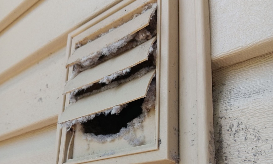 Image 6: Professional dryer vent cleaning for safe airflow