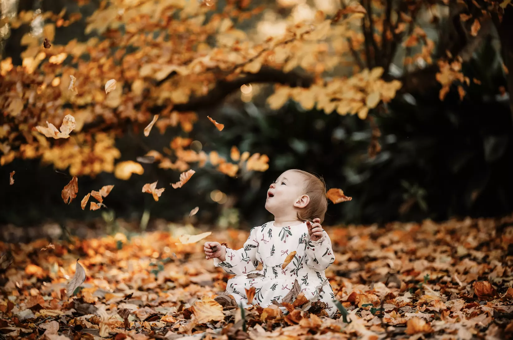 60-Min Outdoor Or Beach Photo Session / 30-Min Outdoor Session