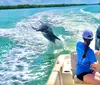 Discover Island Excursions' Private Shelling & Dolphin Tour for 6, with up to 10% off, exploring Marco Island's beauty