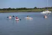 Enjoy Single or Double Kayak Fun or a Paddleboard Rental with Miss Chris Marina Kayak Rentals (Up to 30% Off) - Second Medium