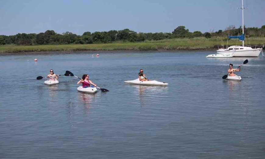 Image 2: Explore Cape May with a Paddleboard Rental, Single or Double Kayak! 