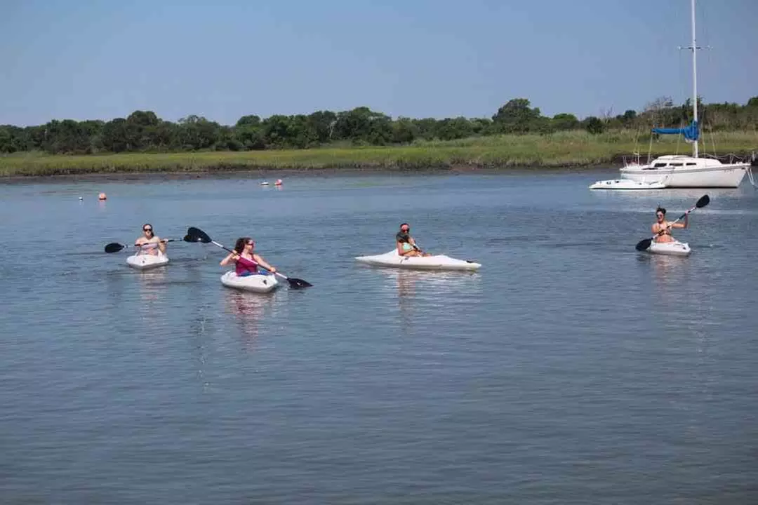 Explore Cape May with a Paddleboard Rental, Single or Double Kayak! 
