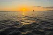 Up to 35%Off for 2-Hour Swim & Sunset Sail for One from Island Magic Charters LLC (Waikiki Adventure Sails) - Second Medium