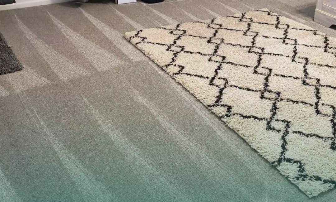 Four, Six, or Eight Hours of House Cleaning for a Spotless Home