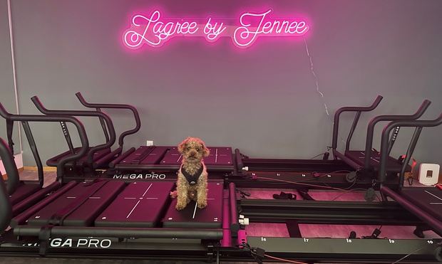 What to expect media