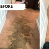 Image 2: Up to 66% Off on Carpet Cleaning at Millennium Carpet Cleaners