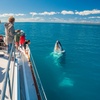 Image 1: Up to 30% Off on Ferry (Transportation) at Freedom Ecotours Pty Ltd