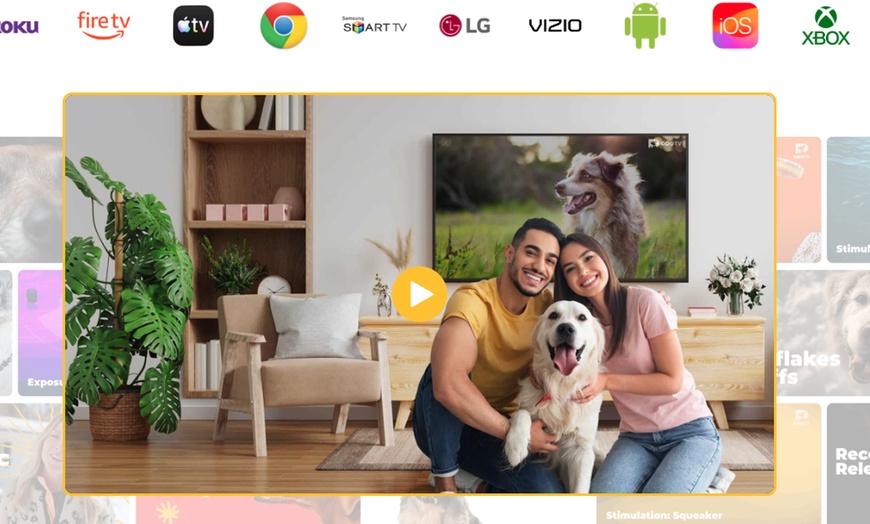 Image 9: Stream DOGTV for a Year or Enjoy a Free Month