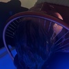 Image 2: Relax with Traditional Headspa with Optional Mini Facial Treatment