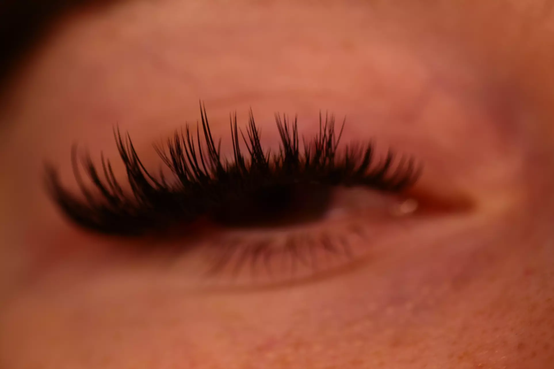 Transform Your Look with Full Set Lash Extensions or a New Client Fill