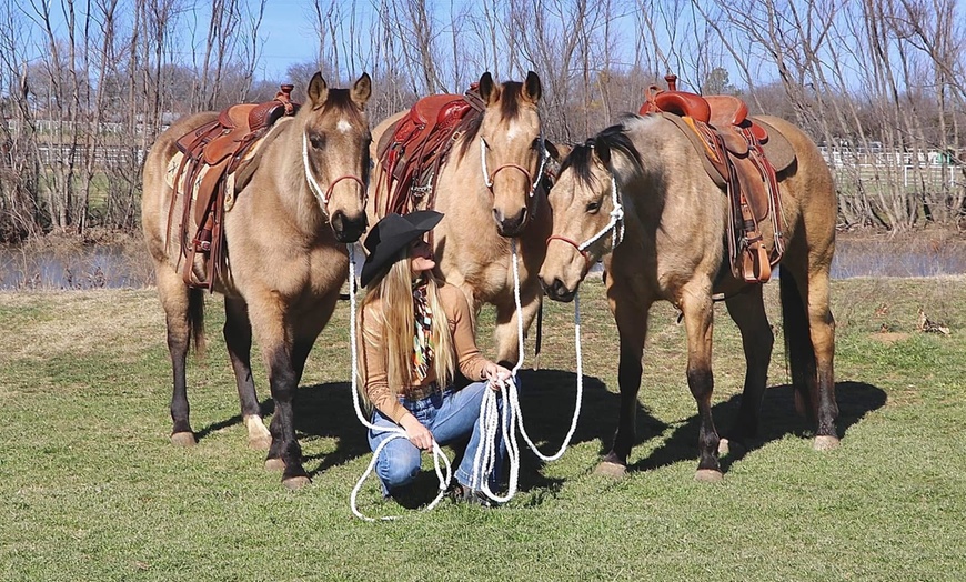 Image 3: Private Horseback Riding Lessons – Embrace the Texas Ranch Life