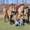 Image 3: Private Horseback Riding Lessons – Embrace the Texas Ranch Life
