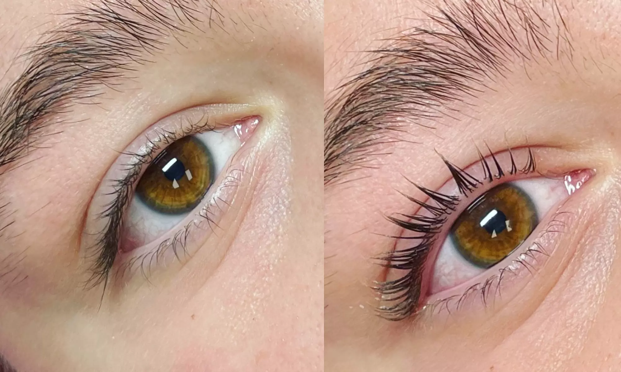 Up to 18% Off on Eyebrow Waxing at Perfection Studio - Primary Image