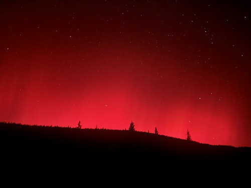 What to expect media