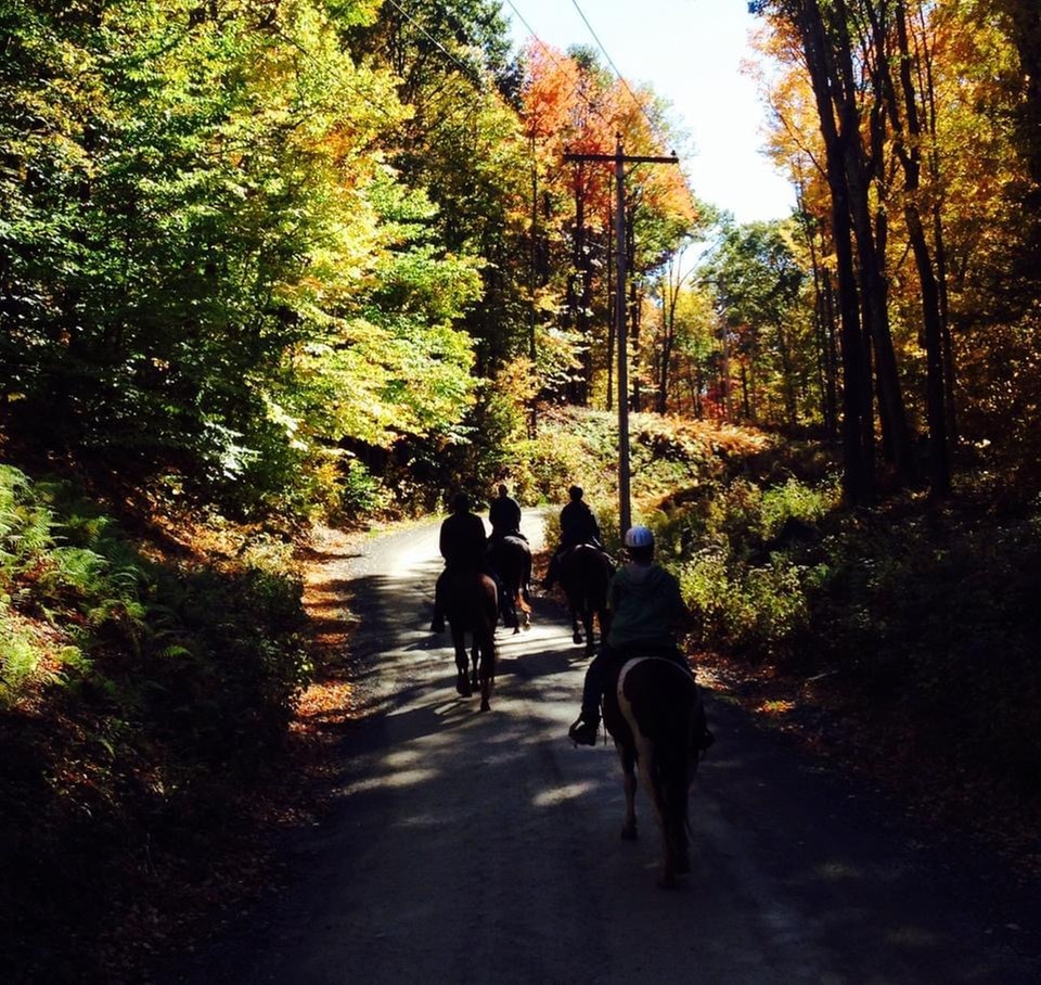 Up to 17% Off on Horse Back Riding at One Trick Pony Rides NY Guided Horseback Trail Rides