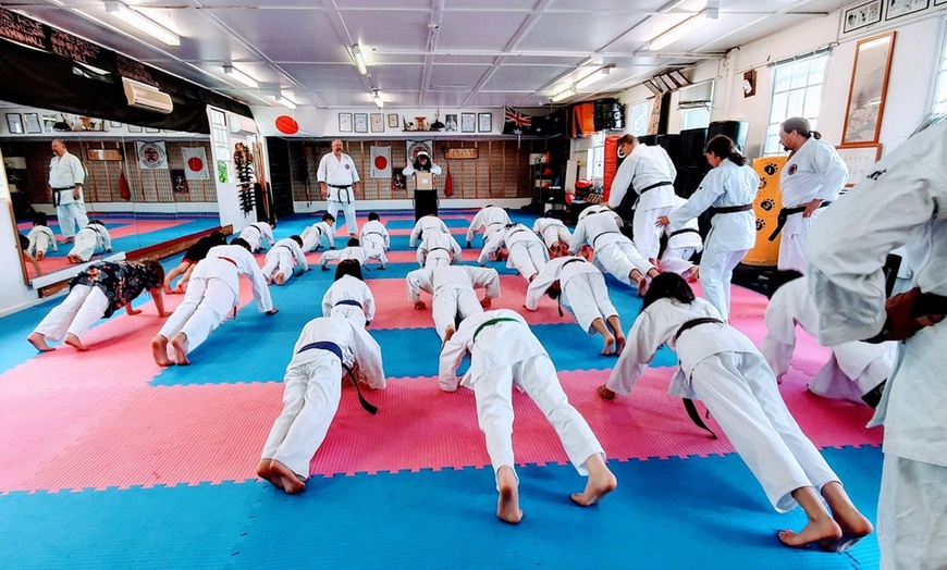 Image 1: 1 Month of Unlimited Martial Arts Training (Kids or Adults) for 1 or 2