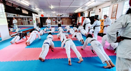 One month of unlimited martial arts training (kids or adults) for One Person - The Karate School