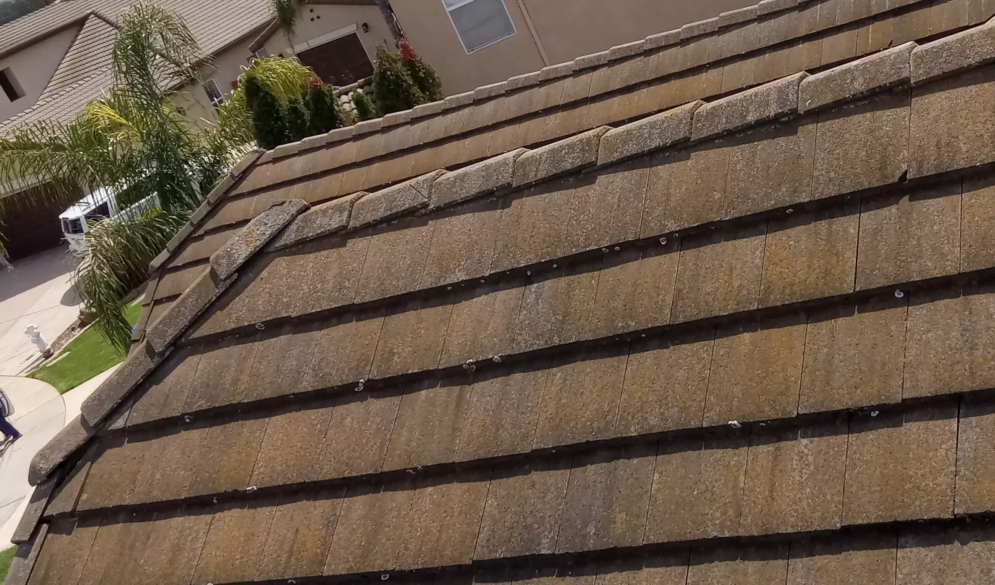 Experience Bear Clean Service's roof washing for homes up to 2100 sq ft with a fantastic offer of up to 34% off