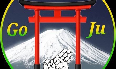 Karate Classes: Learn Discipline, Respect, and Self-Defense - Shorei Goju Karate Academy