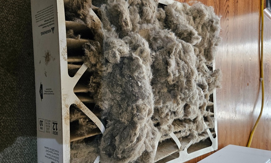 Image 3: Chimney Cleaning, Inspection, Dryer Vent Cleaning Package, and More