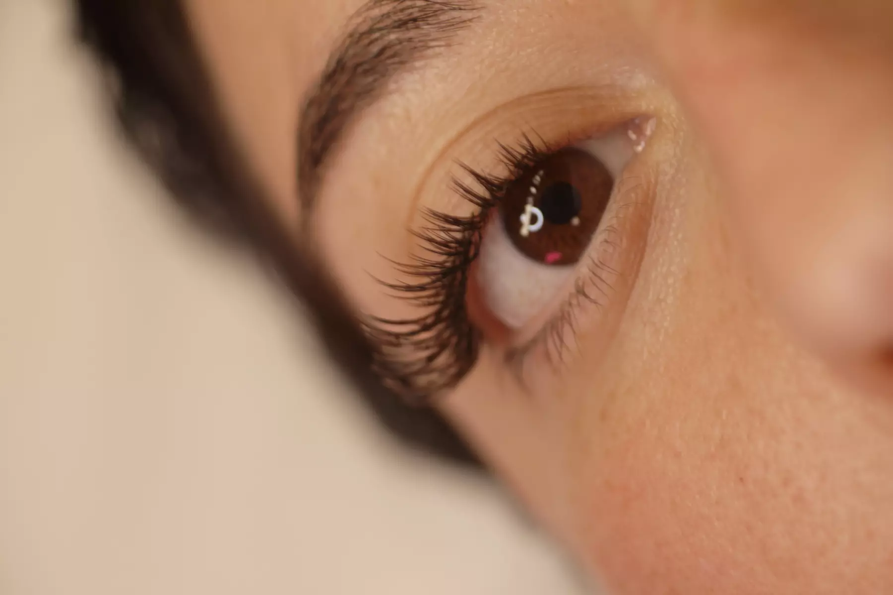 Transform Your Look with Full Set Lash Extensions or a New Client Fill