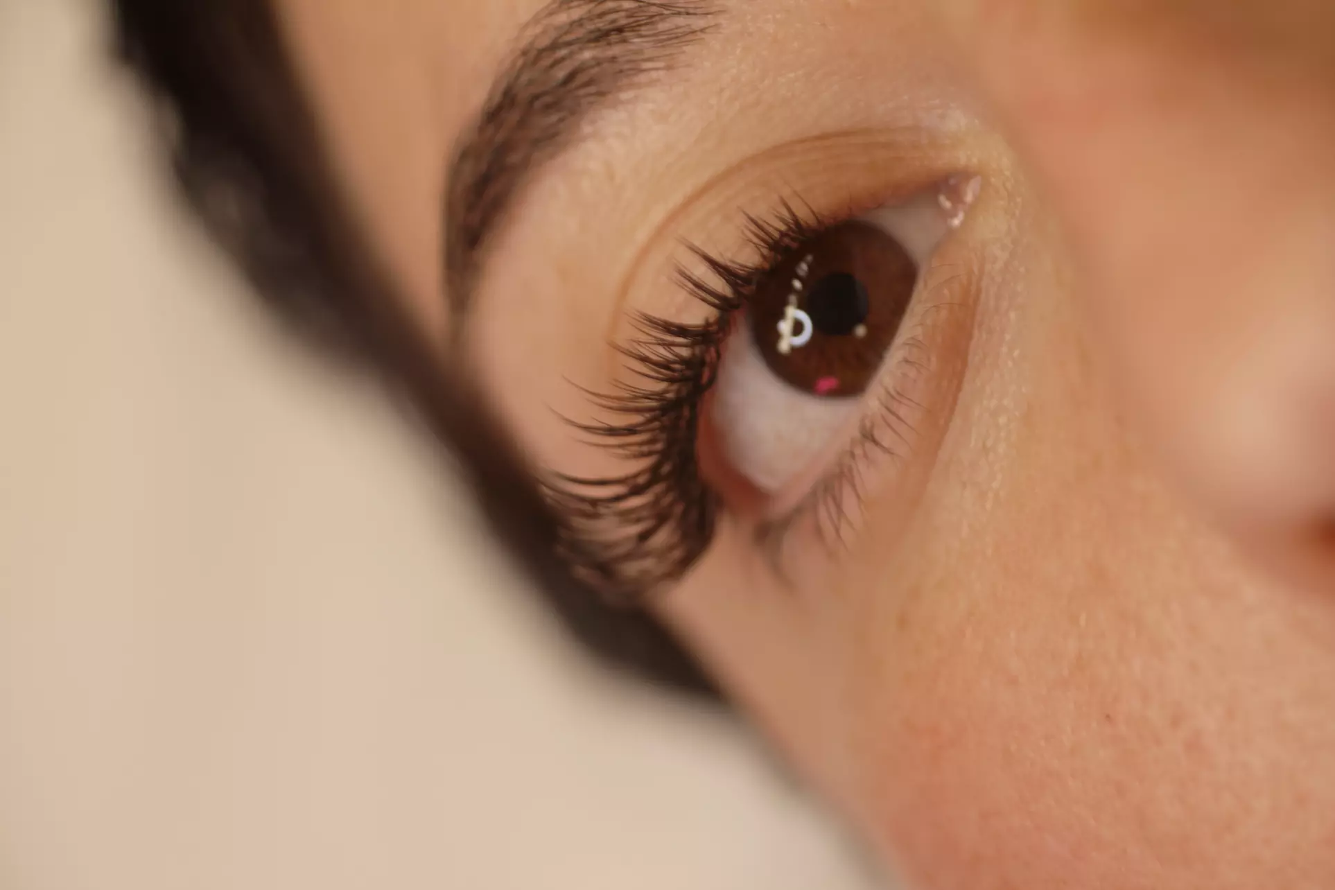 Transform Your Look with Full Set Lash Extensions or a New Client Fill