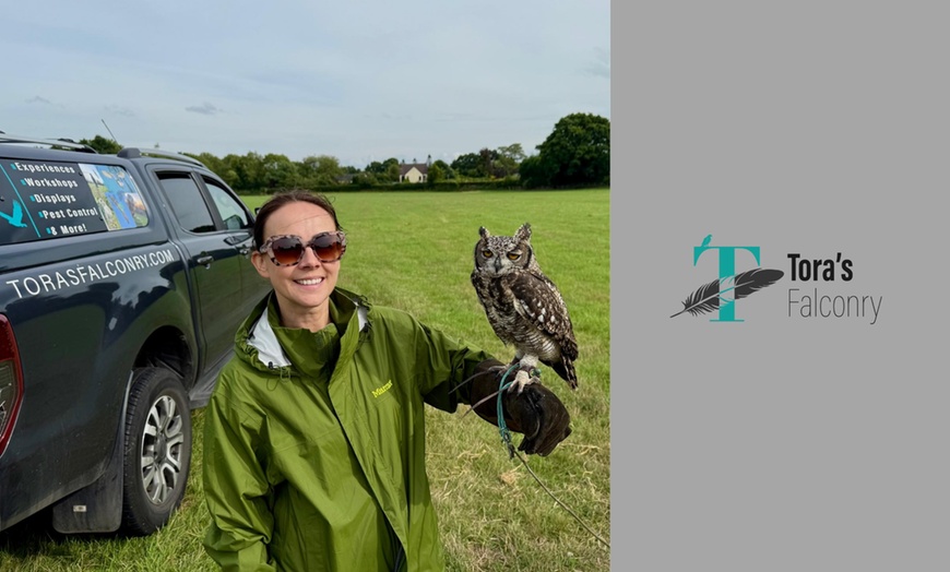 Image 2: Join a For One or Two: 2-Hour Birds of Prey Experience