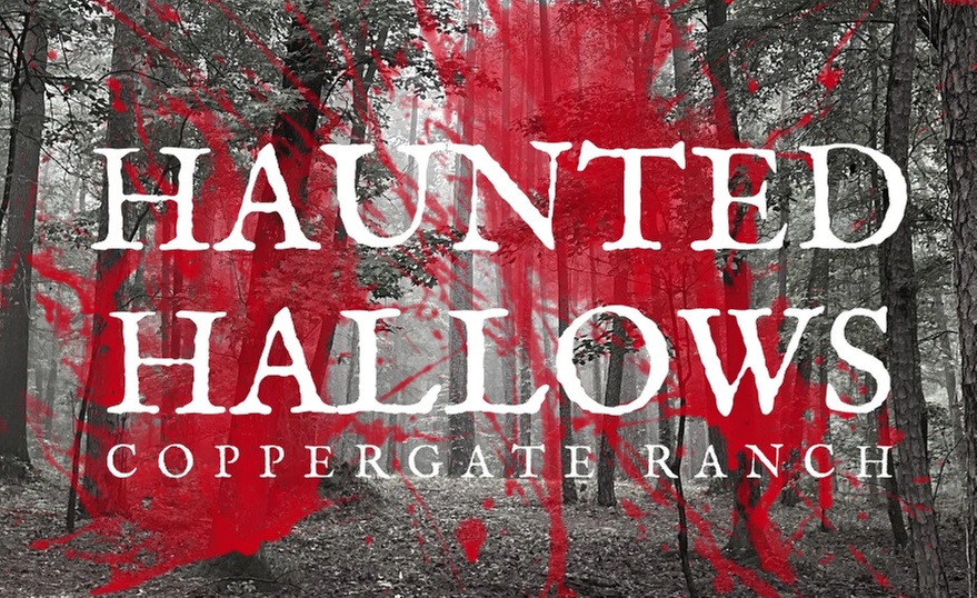 Up to 49% Off on Convention - Horror at Haunted Hallows