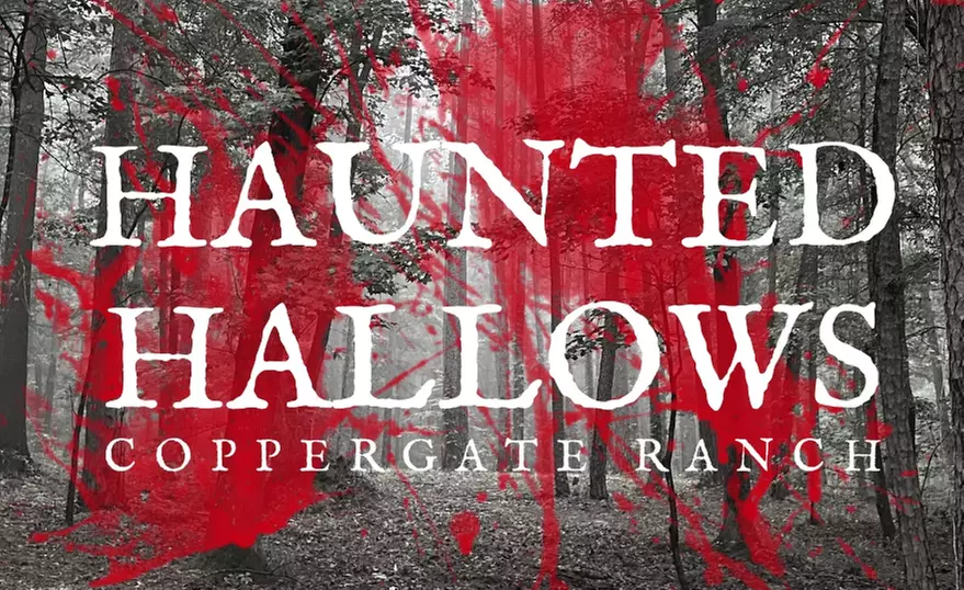 Up to 49% Off on Convention - Horror at Haunted Hallows - Primary Image