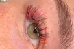 Up to 50% Off on Eyelash Extensions at Lee Lash LLC - Second Medium