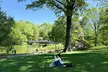 Private Pedicab Tour through Central Park, Iconic Landmarks & Gems - Up to 37% Off - Second Medium