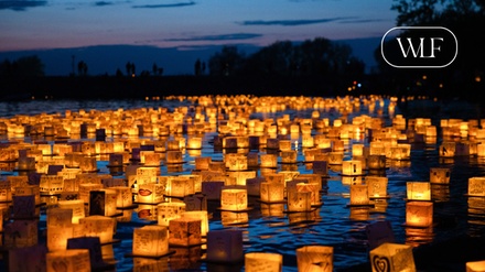 TX: 11/21/2025: Admission for 1 Person (Online Redemption Required) - Water Lantern Festival