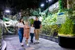 Peace Land Travel & Tourism: Dubai Miracle Garden + Aquarium Combo for One, Two, or Four Adults (Upto 12% Off) - Image 7