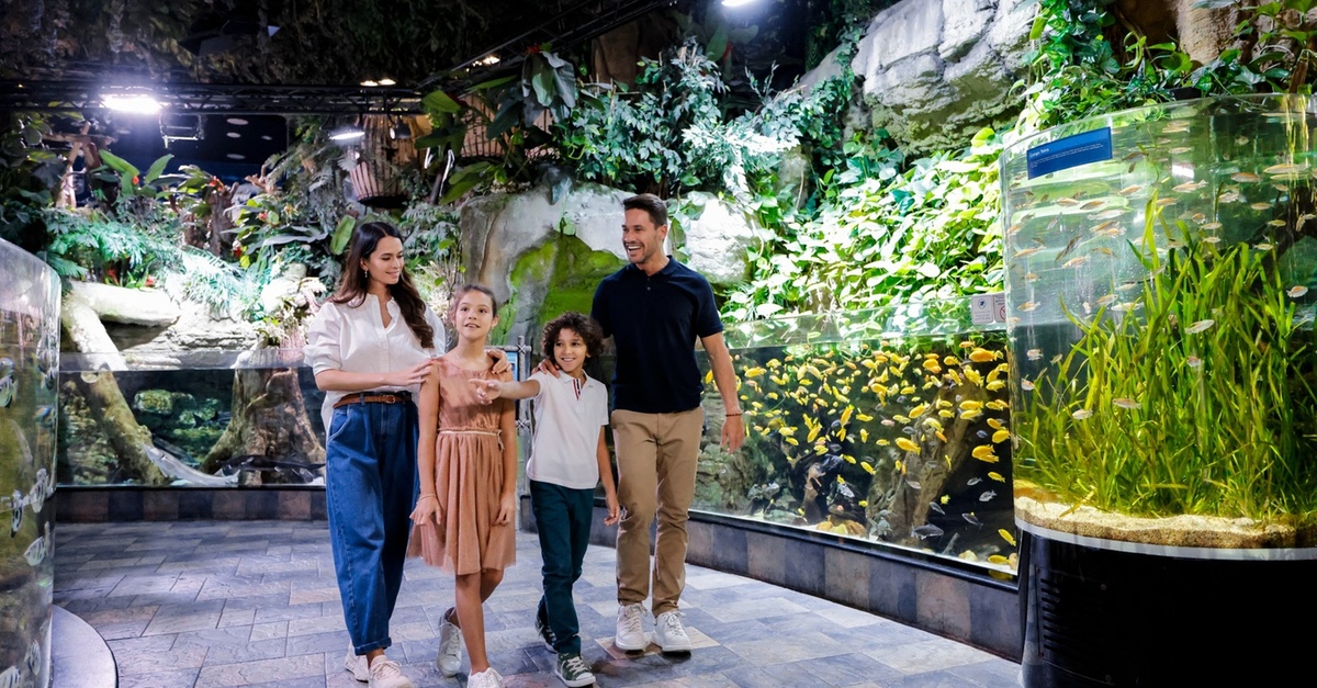 Nature & Ocean Wonders: Dubai Miracle Garden + Dubai Aquarium Combo Nature & Ocean Wonders: Dubai Miracle Garden + Dubai Aquarium Combo