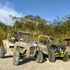 Image 10: Off-Road Adrenaline — One ATV or 2- or 4-Seater Buggy 