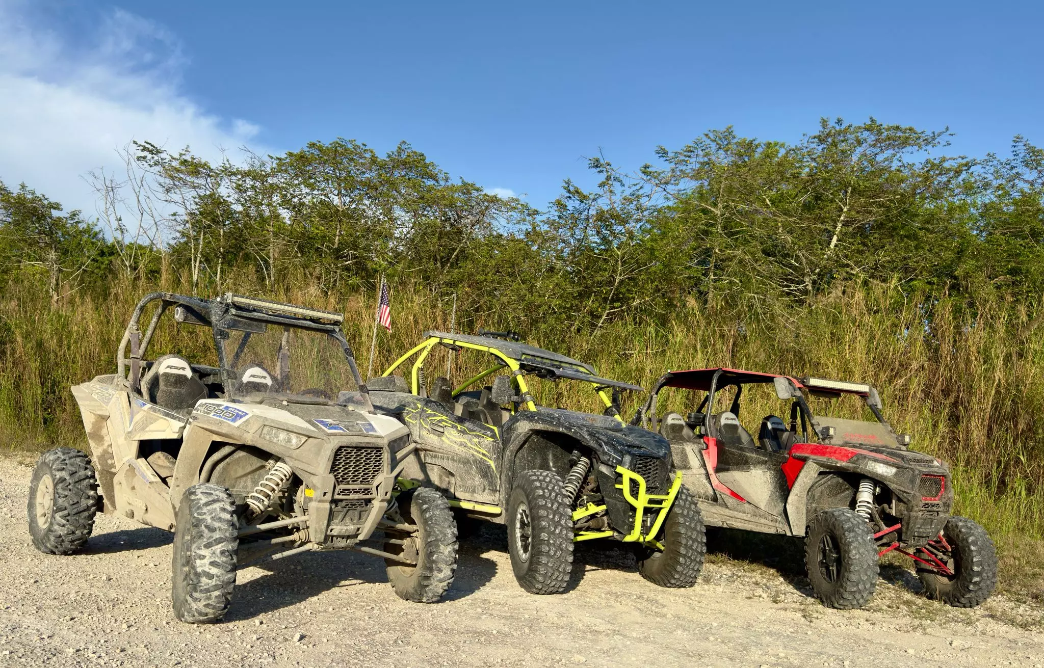 Off-Road Adrenaline — One ATV or 2- or 4-Seater Buggy 