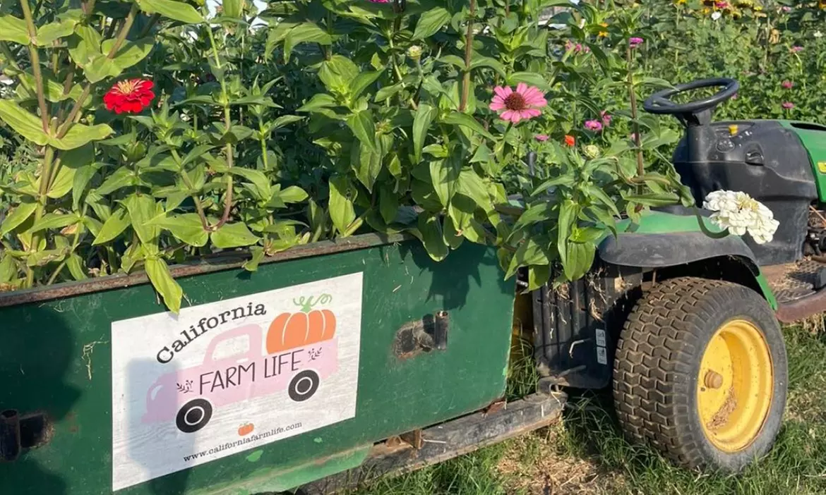 Up to 36% Off on Flower Picking at California Farm Life