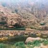 Image 1: Half-Day Rafting Trips in Arkansas River, Colorado for 2, 4 or 6 