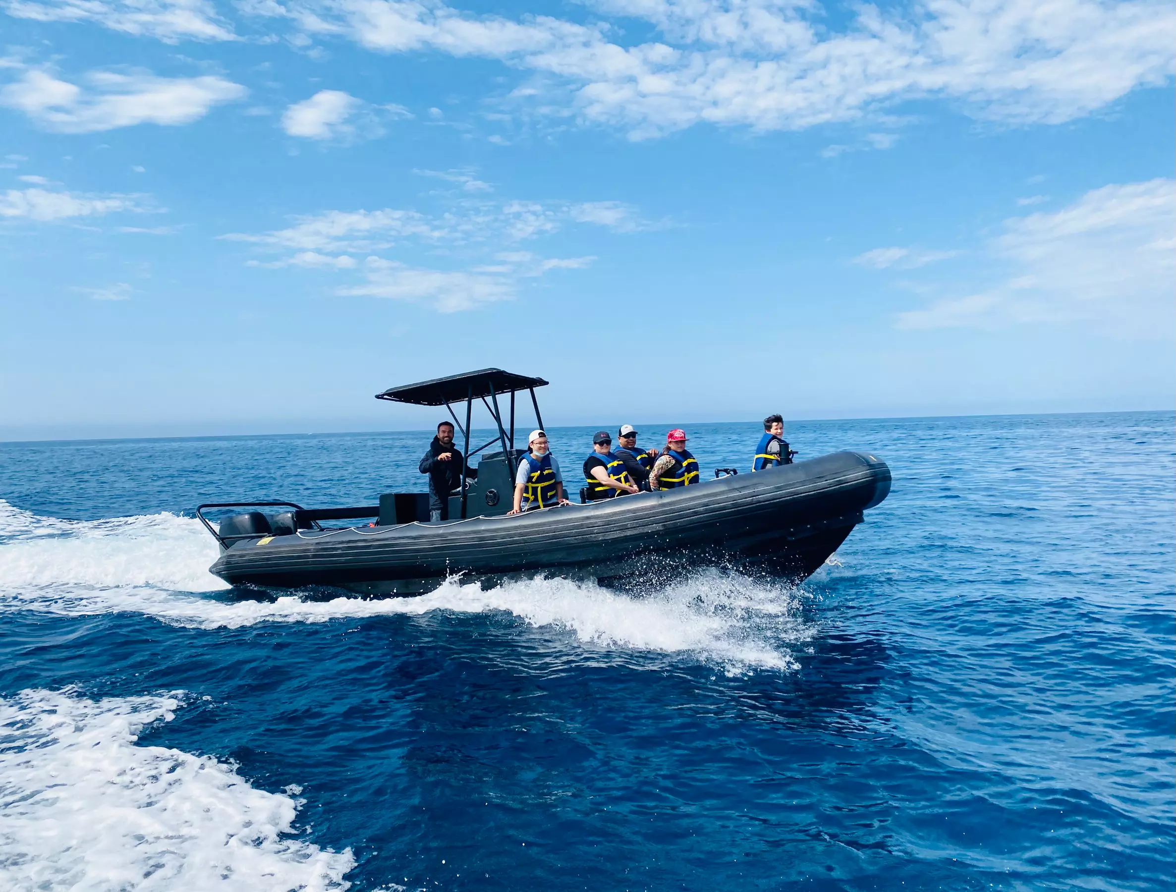 Up to 27% Off on Whale / Wildlife Watching (Activity / Experience) at Oceanside Coastal Expeditions - Primary Image