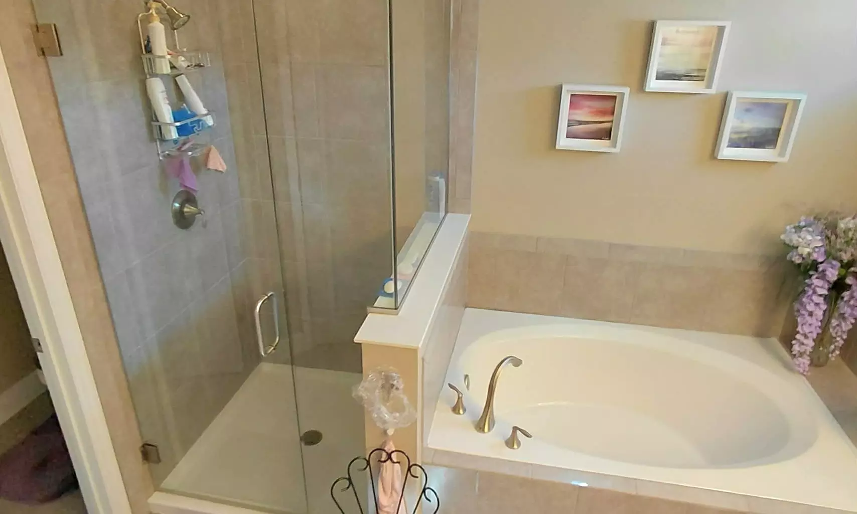 Living Room, Master Bathroom or/and Master Bedroom or Kitchen Reset