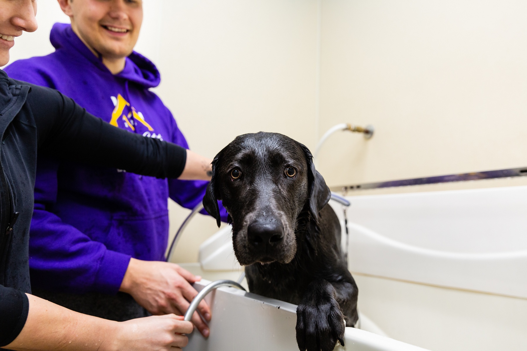 Up to 31% Off on Pet Grooming at Pet Pantry and Dog Wash