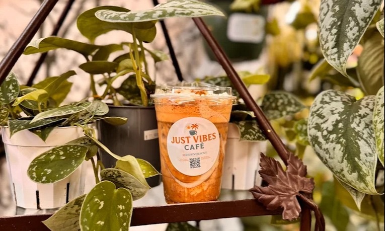 Sip and Savor Organic Brews and Handmade Hielitos at Just Vibes Café